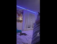 Cat disappears when girl makes bed 