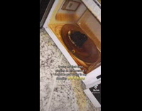 Burnt instant noodles in microwave