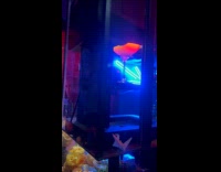 Woman orders cocktail with picture of cat