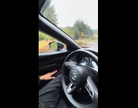 Couples car gets approached by dogs