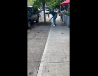 Collab winy - Stubborn Dog Holds Dead Rat Besides Restaurant