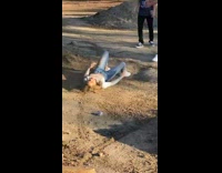 Girl gets thrown off green dirt bike