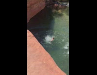 Black shorts guy front flip brown rock