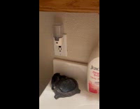 Person reach soap light turn on and off