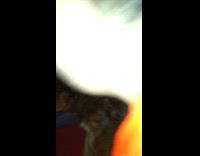 Dog humps boys arm playing games