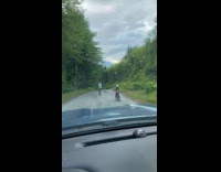 Man skateboard downhill fell on the road