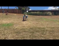 Little girl rides green bicycle down hill 