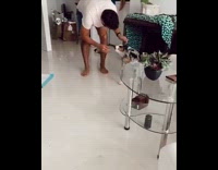 Australian shepherd puppy dog walks shakes butt 