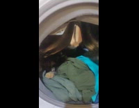 Cat lay on laundry inside washing machine