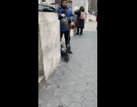 Collab winy - Blue grey colored rat eat on scooter