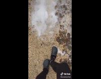 Collab VIBES - Girl puts crocs in four wheel drive