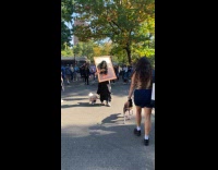 Woman dressed as painting and dog as painter 
