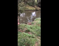 Guy rolls down grass hill brown water 