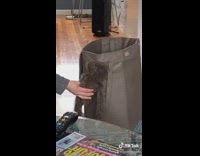 Cat inside of bag attacks stuffed animal