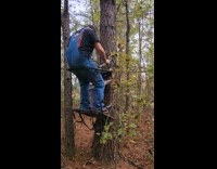 Tree climbing device breaks