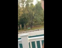 Guy throws ball at brother laying in blue hammock