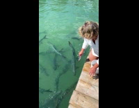 Woman feeds fish with fish at dock