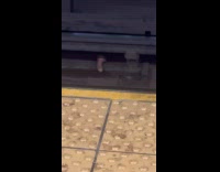 Collab WINY - Sex toy Hangs Still on Subway Train Track