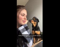 Reading email dog favorite words