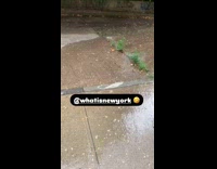 Water shoots out from street light pole