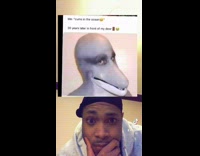 Guy with human dolphin meme 
