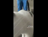 Woman tries to do an outfit check 