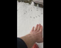 Man excited over bird footprints on snow 