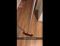 broom challenge breaks orange plate