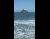 Collab Kook Of The Day - Two Paddle Boarders Ride Wive in Ocean Cove