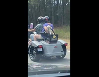 Dog sitting on crate behind freewheeler 