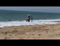 Collab Kook Of The Day - Older people run after blue bag wave