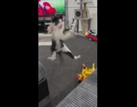 Collab DailyDoseOfInternet - Cat jump to catch toy hit sofa