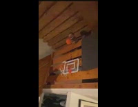 Cat catches basketball on second floor balcony and scores ball inside hoop