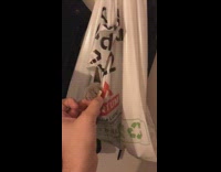 Pet cat inside the plastic bag with hole
