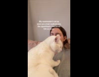 Cat sits on womans chest when man comes over