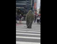 Man crosses street in grass costume