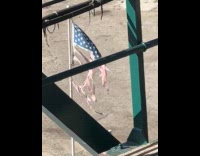 Random person ripped USA flag after elections