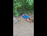 Man lie down next to the baby kangaroo and mother kangaroo