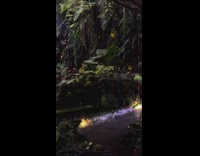 Submitter Shows the Tallest Indoor Waterfalls in Indonesia