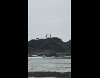 Couple take turns posing rock beach dog