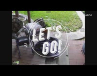 Security camera squirrel in backyard purple blanket 