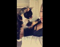 Collab Animalig - Spotted cat touches and pets womans face with paw on bed