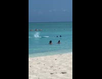 Man shirtless hand stand on surfboard fall