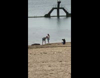 Man kiss belly of pregnant wife beach