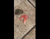 Lost dentures on the floor in subway station