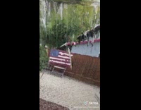 Guy throws stick wood fence backyard illusion 