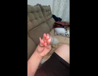 White dog bites owners thumb