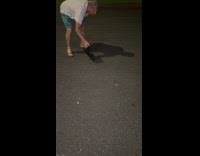 Mice jumps out from boot towards submitter 