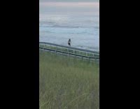 Collab Kook Of The Day - Guy kicks and punches air at beach 