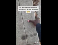 Trying to do curbside pick up